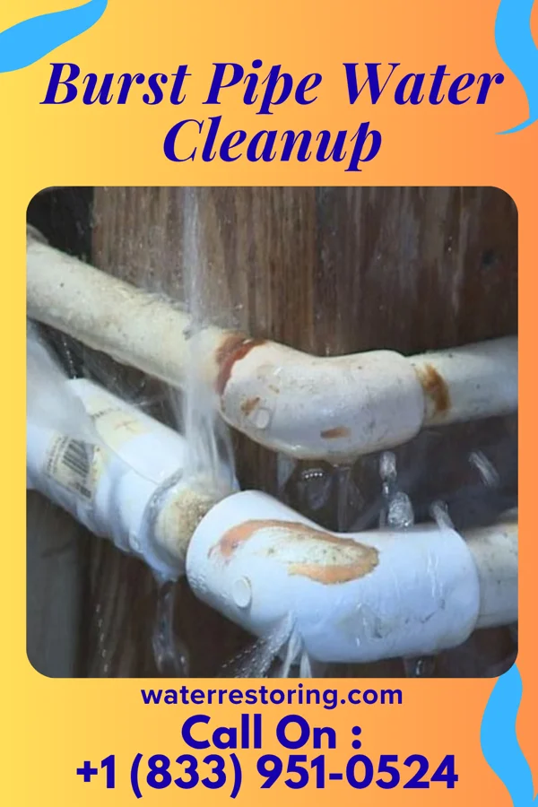 Burst Pipe Water Cleanup in New Bremen, OH