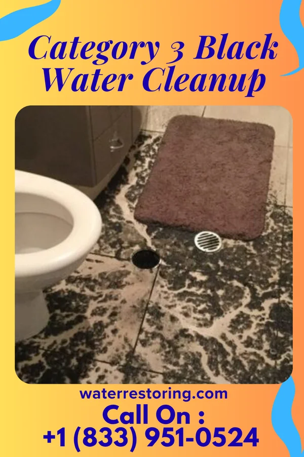 Category 3 Black Water Cleanup in New Bremen, OH