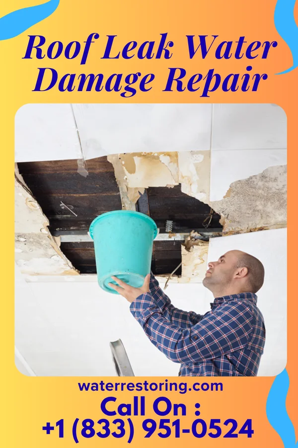 Roof Leak Water Damage Repair in New Bremen, OH