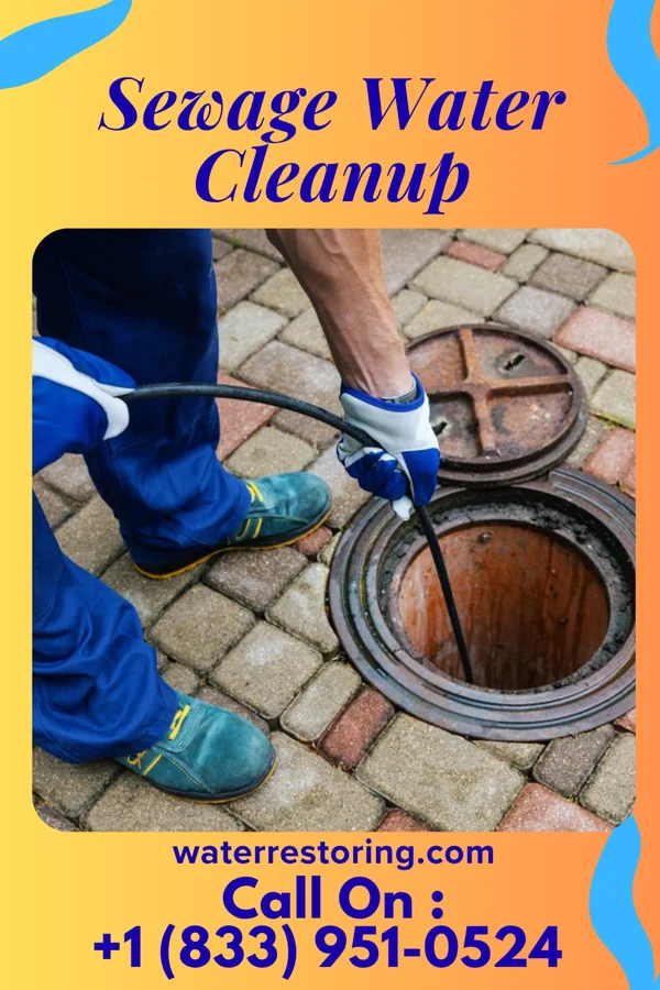 Sewage Water Cleanup in New Bremen, OH